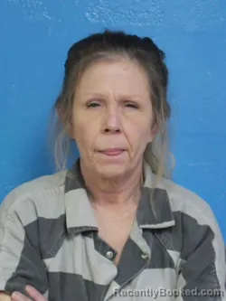 Mugshot of KIMBERLY HOPE HENSLEY booked in Sullivan County, Tennessee on March 27, 2026