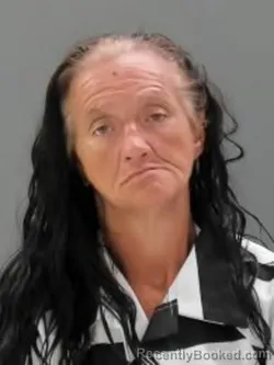 Mugshot of Sherry Ann Bear booked in Sullivan County, Tennessee on August 24, 2026