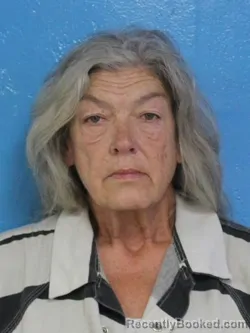 Mugshot of WENDY SUZANNE DIXON booked in Sullivan County, Tennessee on July 7, 2026