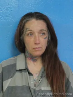 Mugshot of KIMBERLY FRANCIS CARRICK