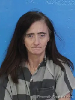 Mugshot of APRIL MICHELLE DINKENS