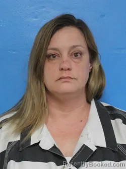 Mugshot of KAREN RENEE JENKINS booked in Sullivan County, Tennessee on May 1, 2026