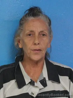 Mugshot of DEENA TAUFIC KHALAF booked in Sullivan County, Tennessee on July 13, 2026