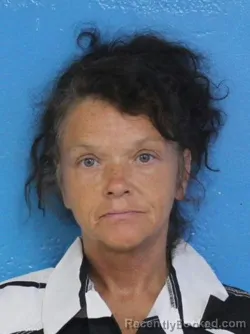 Mugshot of Patricia Ann Michaels booked in Sullivan County, Tennessee on August 19, 2026