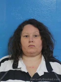 Booking photo from Sullivan County, Tennessee