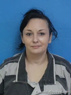 Booking photo from Sullivan County, Tennessee