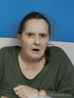 Mugshot of KIMBERLY MARIE SHELTON