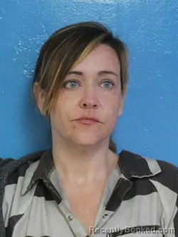 Mugshot of AMANDA DONNA BARKER booked in Sullivan County, Tennessee on July 1, 2026