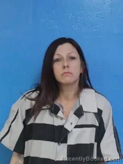 Booking photo from Sullivan County, Tennessee