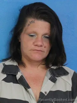 Mugshot of GINGER AVALINA NELSON booked in Sullivan County, Tennessee on July 6, 2026