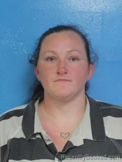Mugshot of ASHLEY DAWN HARR booked in Sullivan County, Tennessee on April 30, 2026