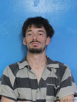 Mugshot of MATTHEW LYNN STURGILL