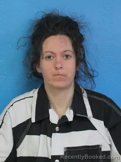 Mugshot of MELANIE MARLYNA GARDNER