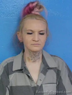 Mugshot of BRANDIE LEANN ARP