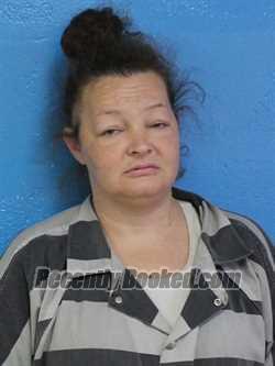 Mugshot of DANIELLE NICOLE WILSON booked in Sullivan County, Tennessee on April 28, 2026