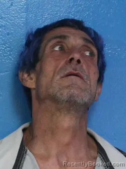 Mugshot of MICHAEL WADE HALL booked in Sullivan County, Tennessee on March 27, 2026