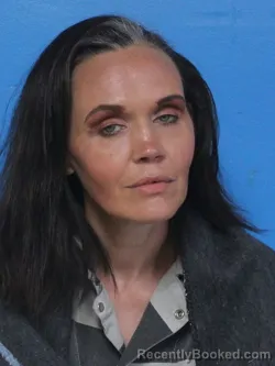 Mugshot of BRANDEE JANETTE WILSON booked in Sullivan County, Tennessee on April 25, 2026