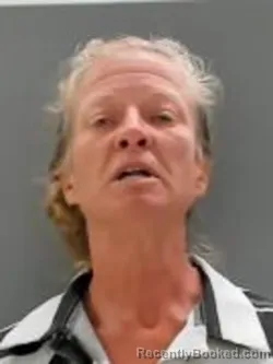 Mugshot of Tammy Lynn Seaver booked in Sullivan County, Tennessee on September 9, 2026