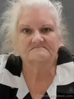 Mugshot of Trisha Anne Hassler booked in Sullivan County, Tennessee on September 2, 2026