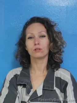 Booking photo from Sullivan County, Tennessee