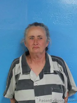 Mugshot of MARTY KAY WILLIS