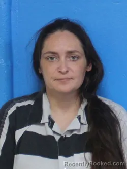 Mugshot of ASHLEY NICOLE WILLIAMS booked in Sullivan County, Tennessee on April 24, 2026