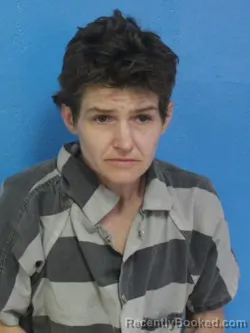 Mugshot of NICOLE LYNN ROBERSON booked in Sullivan County, Tennessee on April 17, 2026