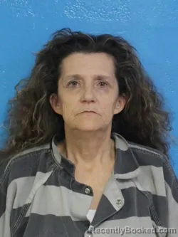 Mugshot of YOLANDA DAWN LAWSON booked in Sullivan County, Tennessee on May 4, 2026