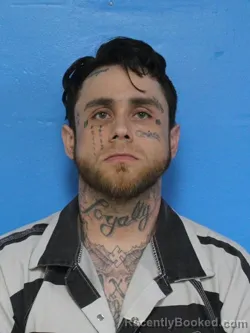 Mugshot of CHRISTOPHER RYAN NELSON