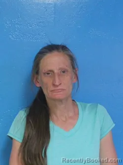 Mugshot of Cynthia Diane Johnson