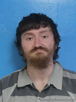 Mugshot of JESSE WAYNE JENKINS