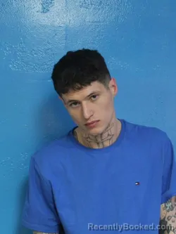 Mugshot of JAMES HENRY WINSTON