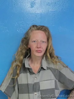 Mugshot of AMBER NICOLE NEECE booked in Sullivan County, Tennessee on March 27, 2026