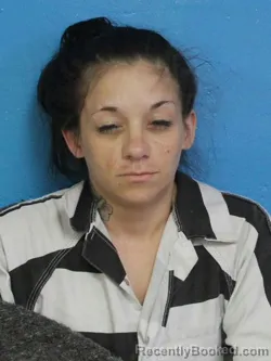 Mugshot of AMANDA NICOLE FOGERTY booked in Sullivan County, Tennessee on June 30, 2026