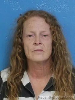 Mugshot of AMY JO CAUDILL booked in Sullivan County, Tennessee on July 3, 2026
