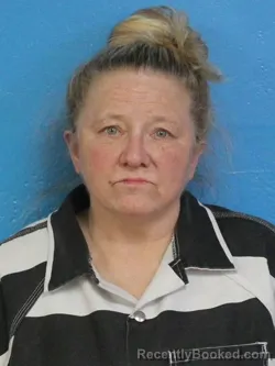 Mugshot of TINA D SMITH booked in Sullivan County, Tennessee on June 4, 2026