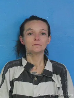 Mugshot of BRIDGET LEIGHANN SPARROW booked in Sullivan County, Tennessee on April 24, 2026