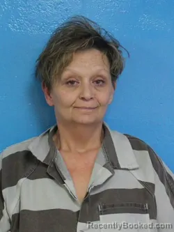 Mugshot of STACEY ANN CHESS