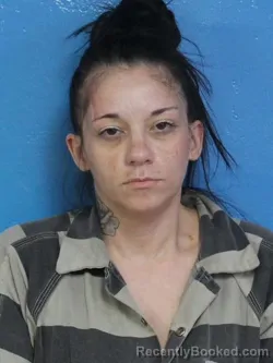 Mugshot of AMANDA NICOLE FOGARTY booked in Sullivan County, Tennessee on May 14, 2026
