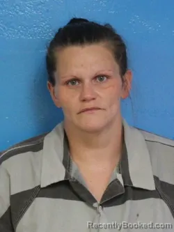 Mugshot of NATASHA RENEE BROWN booked in Sullivan County, Tennessee on June 26, 2026