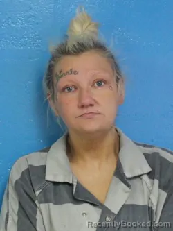 Mugshot of AMBER LYNN JACKSON