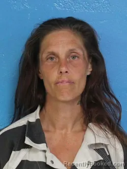 Mugshot of TAMMY JEAN BUTLER booked in Sullivan County, Tennessee on June 24, 2026