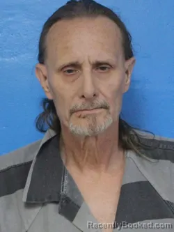 Mugshot of SHERMAN PAT LANE booked in Sullivan County, Tennessee on April 24, 2026
