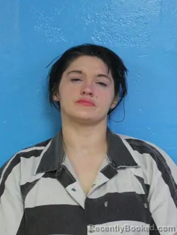 Mugshot of CRYSTAL LYNN BARNETT
