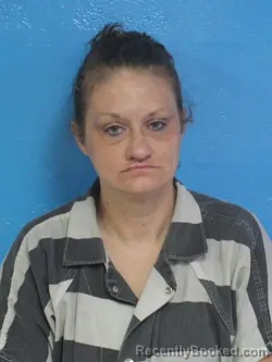 Mugshot of ASHLEY DAWN SIMPSON booked in Sullivan County, Tennessee on April 25, 2026