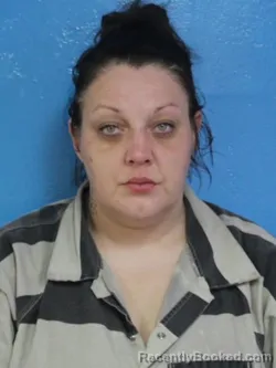 Mugshot of CANDICE ERIN CANTER booked in Sullivan County, Tennessee on July 13, 2026