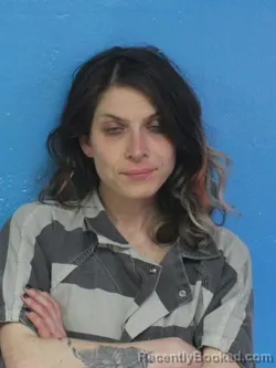 Mugshot of JAMIE LYNN MARSHALL booked in Sullivan County, Tennessee on April 17, 2026