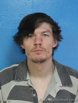 Mugshot of DERRICK ALAN PETERS