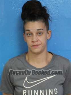 Booking photo from Sullivan County, Tennessee