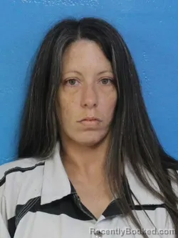 Mugshot of KELLI RAQUEL SMITH booked in Sullivan County, Tennessee on July 10, 2026